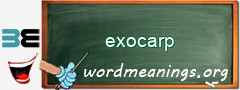 WordMeaning blackboard for exocarp